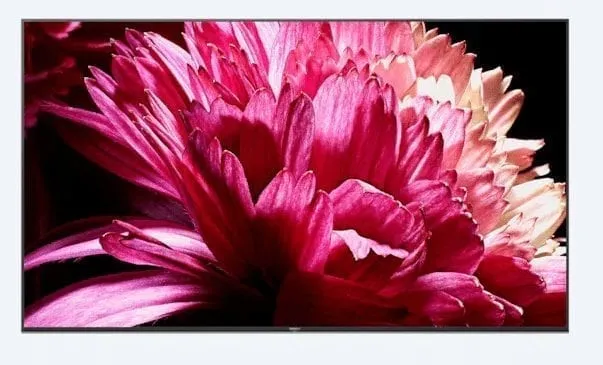 Sony X950G 65 Inch 4K Ultra HD Smart LED TV w/ HDR