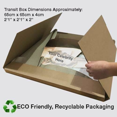 Tina Turner (Young) Life Size Cutout